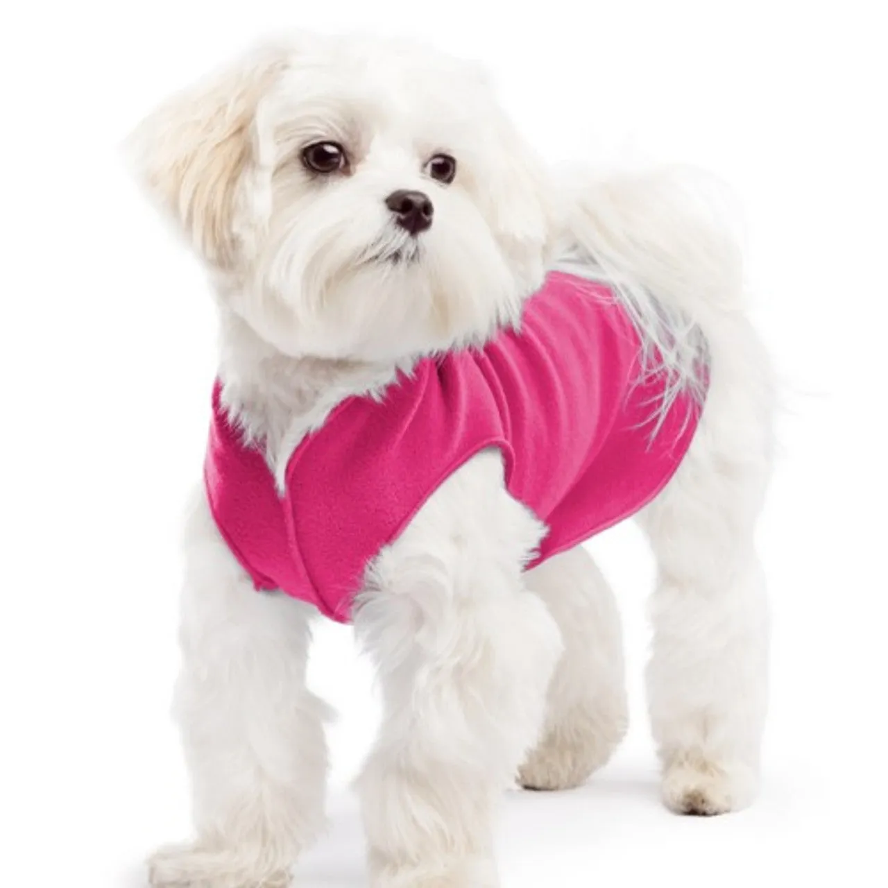 Goldpaw: DOG STRETCH FLEECE | Fuchsia