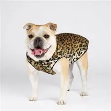 Goldpaw: DOG STRETCH FLEECE | Leopard